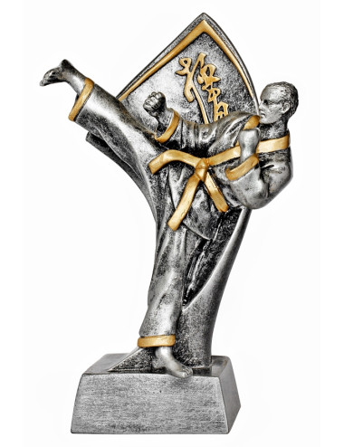 RTX217  Statuetka KARATE - seria ENJOY,  H-180mm, W-90mm (tab.60/68x23 mm )