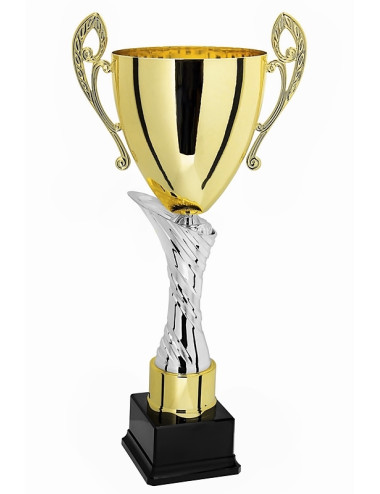 X815E  Puchar kolor srebrno-złoty H-260 mm R-80 mm (tab. 52x26 mm / GBX06) • X815-seria