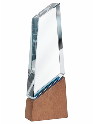 XME2011 Trofeum kryształowe SPIRE , wysokość H-255mm. W-90mm, grubość 35mm + etui typu GIFTBOX