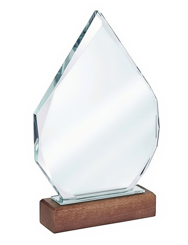 XME2017 Trofeum szklane CLEAR+WOOD 145x230mm, grubość szkła 15mm + etui typu GIFTBOX
