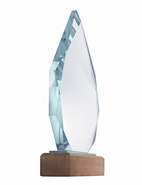 XME2017 Trofeum szklane CLEAR+WOOD 145x230mm, grubość szkła 15mm + etui typu GIFTBOX
